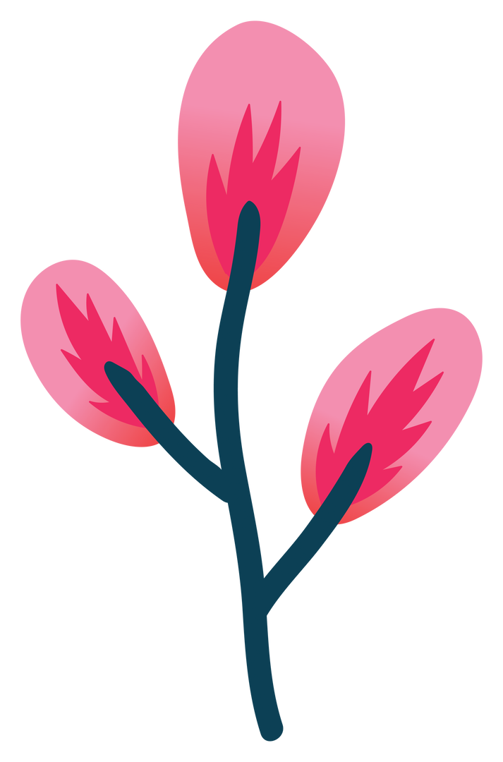 Vibrant Pink Floral Illustration on Transparent Background - Download Free Stock Images Pikwizard.com