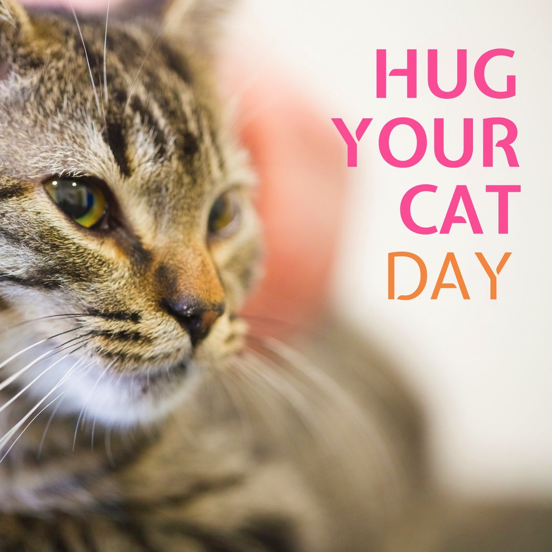 Tabby Cat Close-Up with Hug Your Cat Day Message
