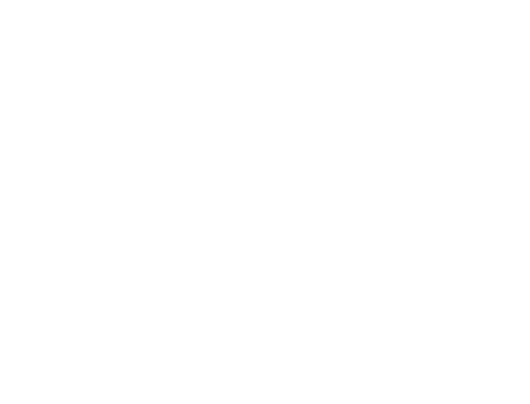 Silhouettes of Children on Transparent Background Dancing and Playing - Download Free Stock Images Pikwizard.com