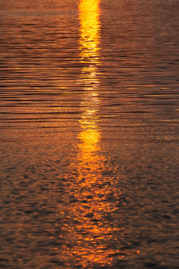 Golden Sunset Reflection Stretching Down Rippling Water Surface Creating Warm Vertical Glow