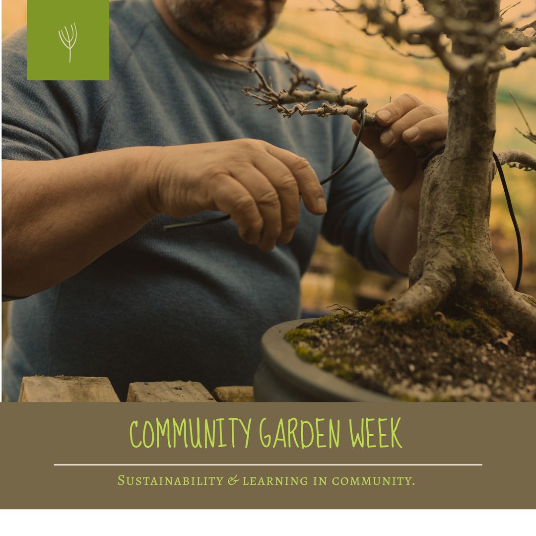 Celebrating Community Garden Week with Gardening Enthusiast