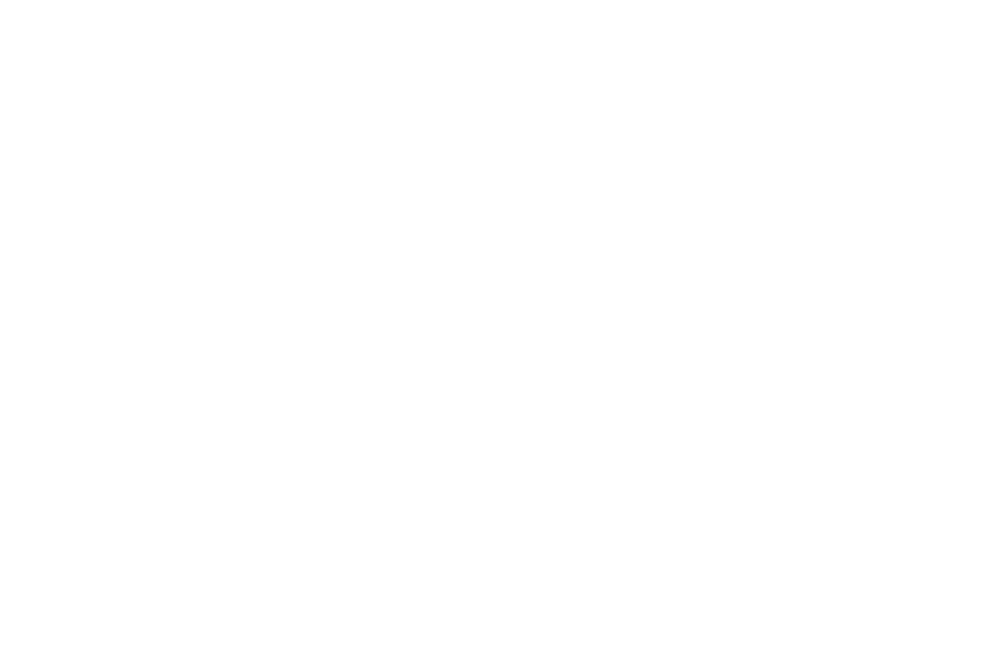 Transparent Silhouettes of Male and Female Boxers Facing Each Other - Download Free Stock Images Pikwizard.com