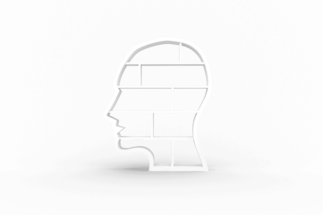 Transparent Bookshelf Shaped Like Head for Literature Enthusiasts