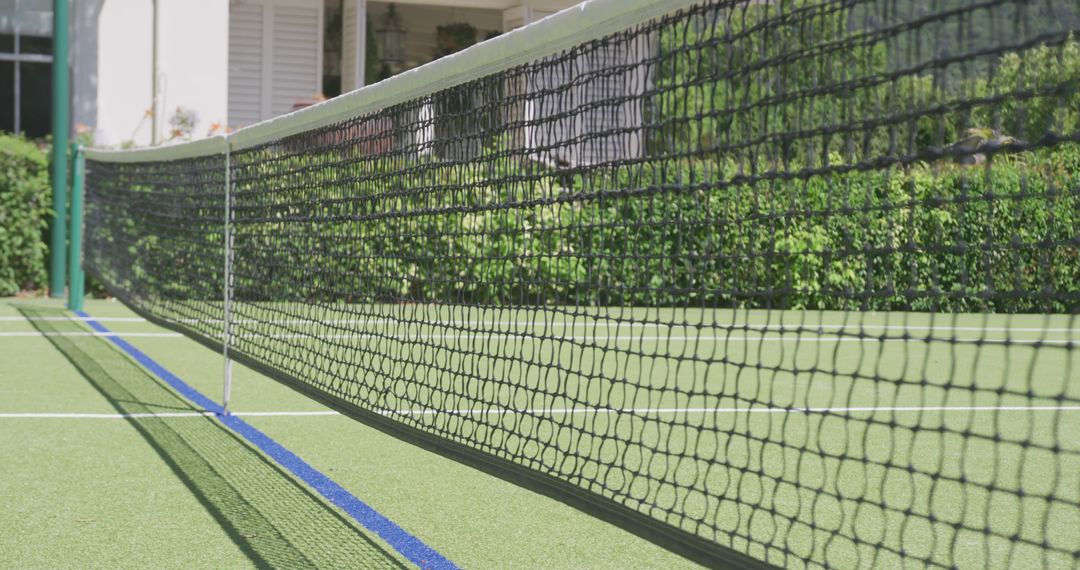 Close-Up of Tennis Net on Garden Court in Sunlight - Free Images, Stock Photos and Pictures on Pikwizard.com