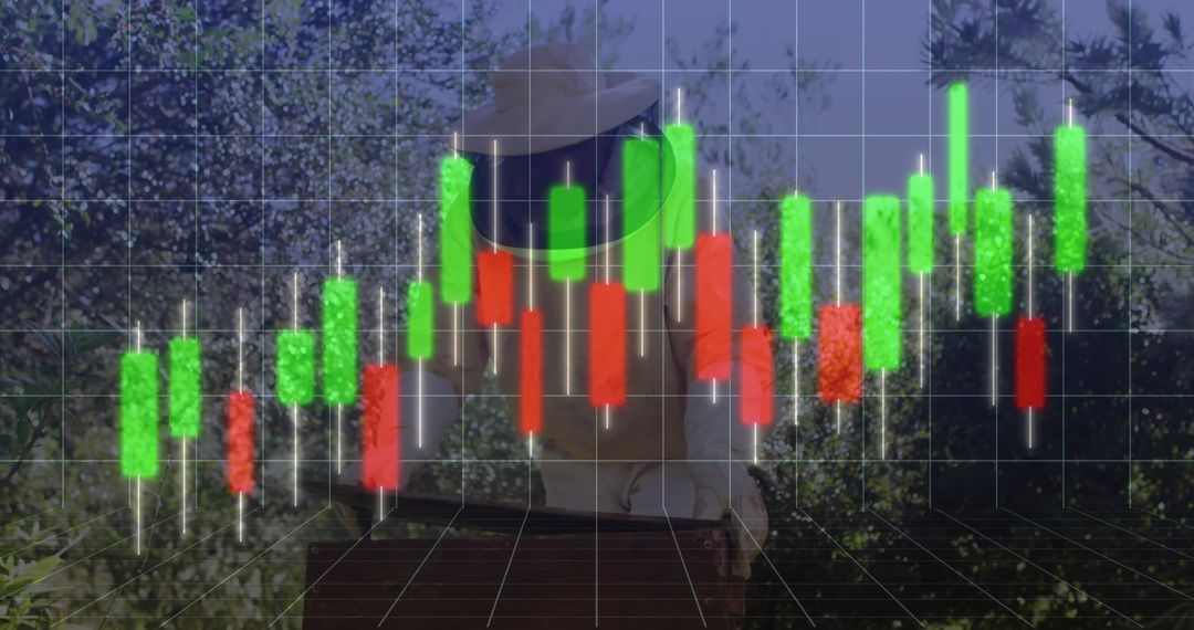 Beekeeper Monitoring Hive with Digital Analytics Overlay in Apiary