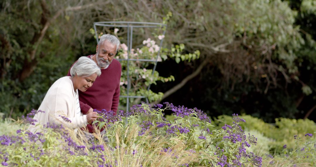 Senior Couple Enjoying Gardening Together in Blooming Garden - Free Images, Stock Photos and Pictures on Pikwizard.com