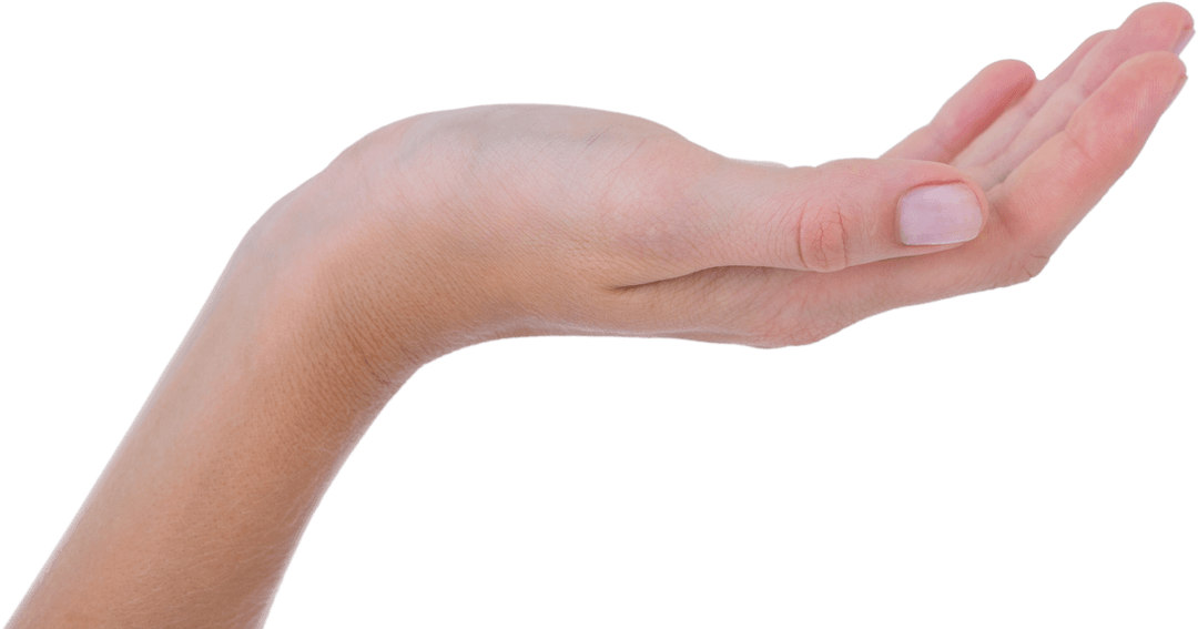 Transparent Hand Raised for Presentation Purpose