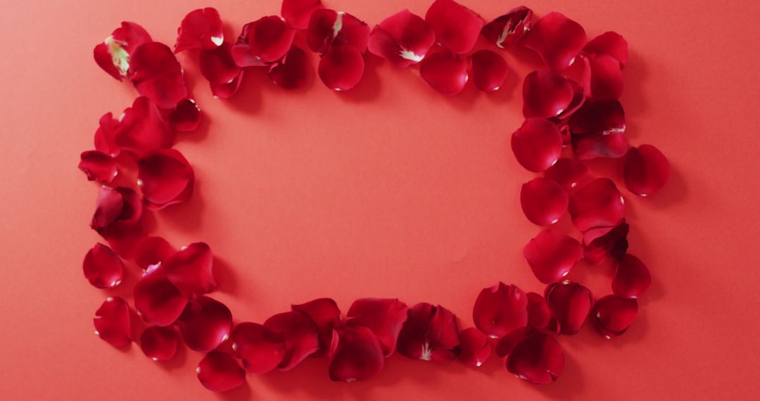 Romantic Red Petals Frame on Vibrant Background