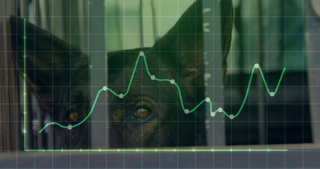 Dog Sheltered Behind Bars with Data Graph Overlay