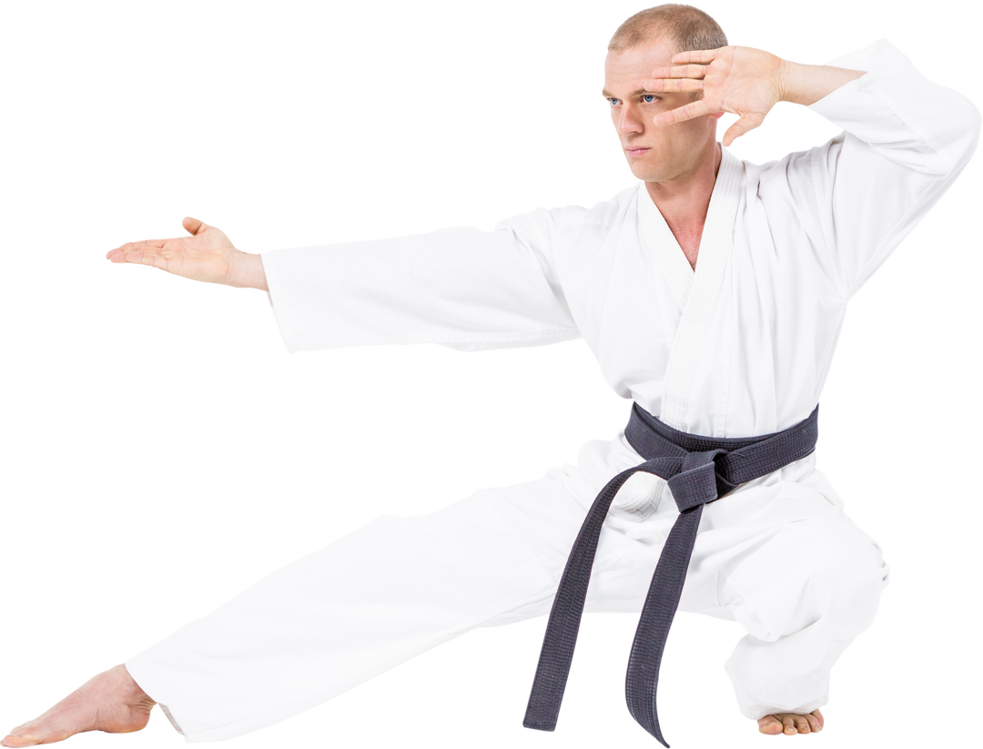 Karate Master in Intense Stance on Transparent Background - Download Free Stock Images Pikwizard.com