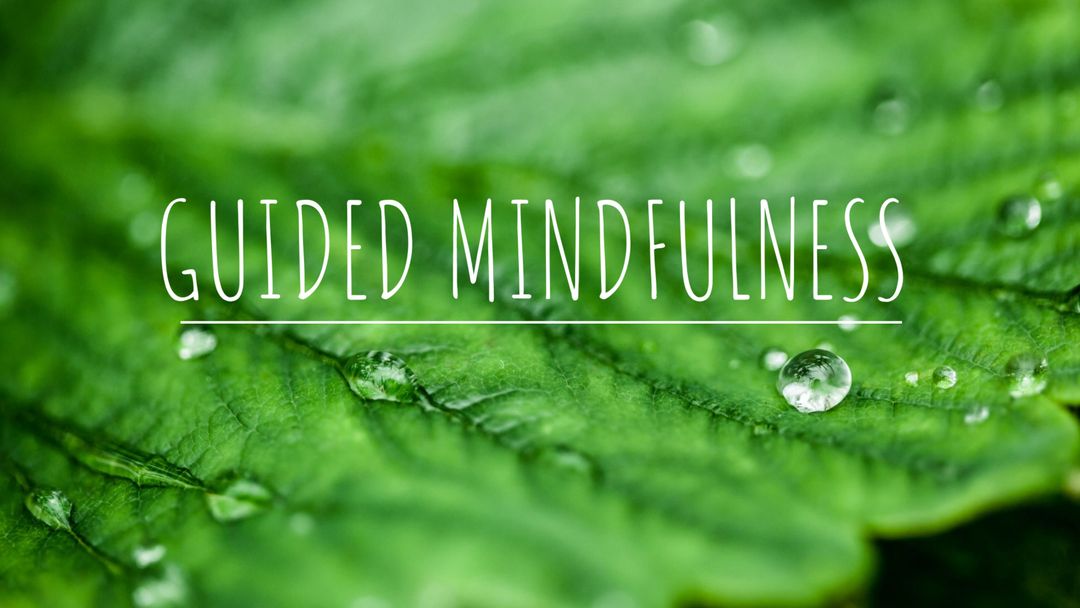 Tranquil Nature Close-Up Promoting Mindfulness