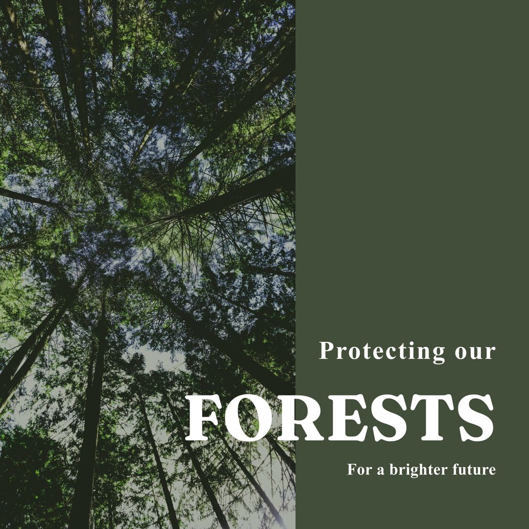 Forest Conservation Awareness Poster with Tall Trees - Download Free Stock Templates Pikwizard.com