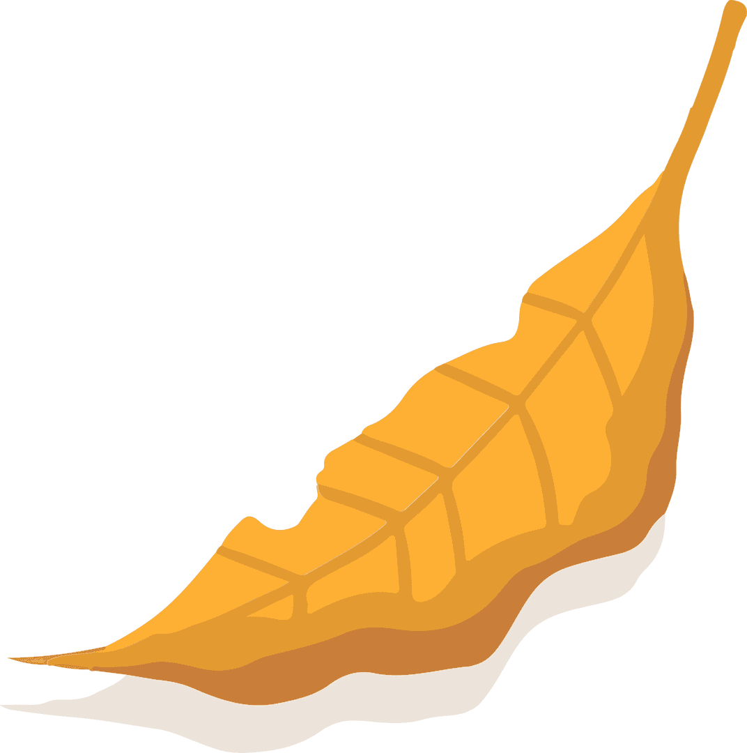 Transparent Autumn Leaf with Shadows and Veins Vector