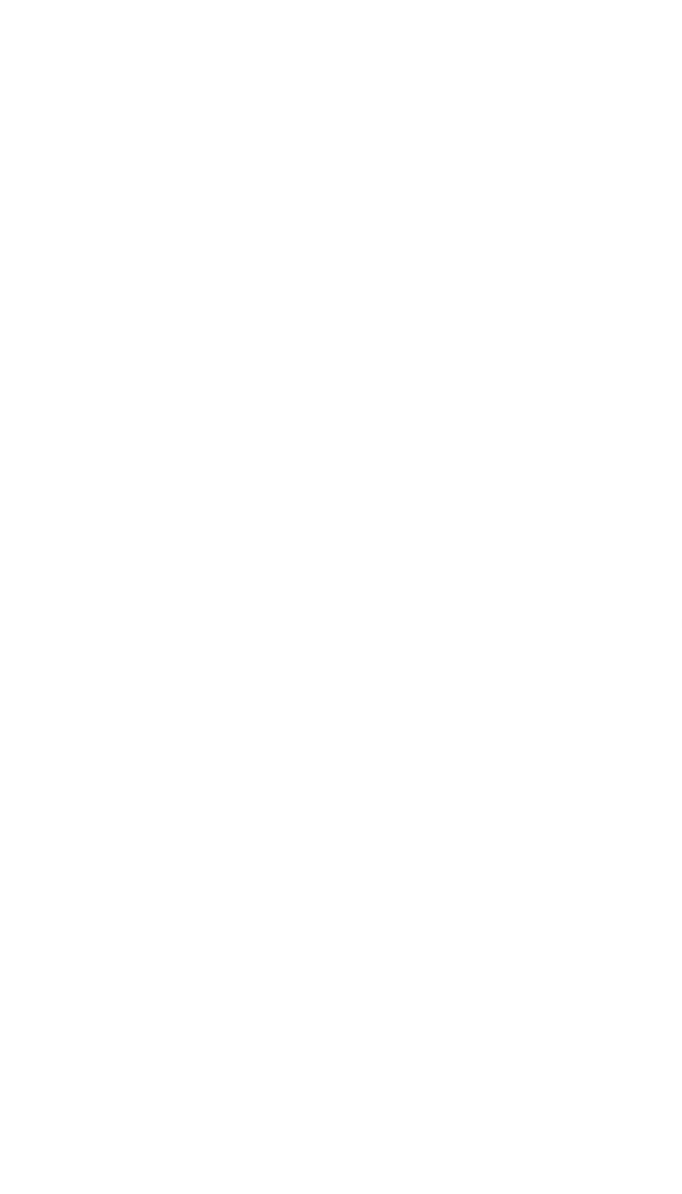 Silhouette of Male American Football Player on Transparent Background National Colors - Download Free Stock Images Pikwizard.com