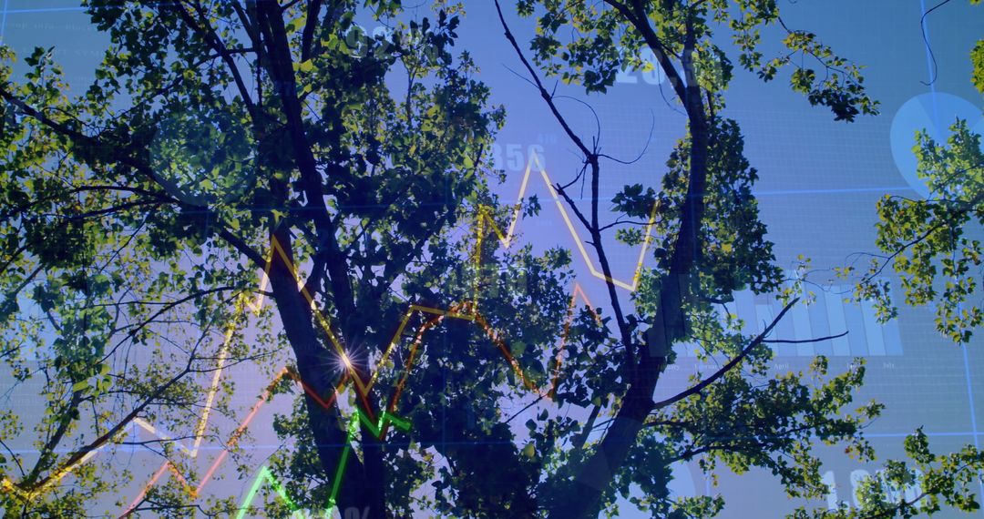 Nature's Growth Displayed with Digital Data Visualizations