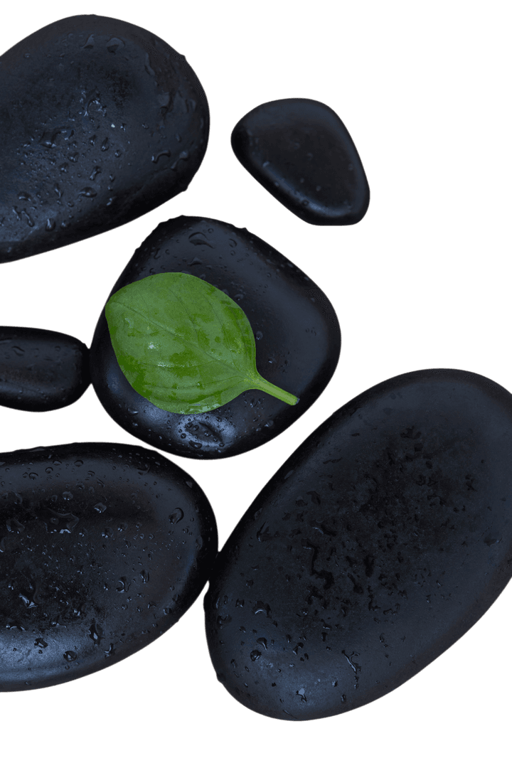 Smooth Wet Black Spa Stones with Green Leaf on Transparent Background