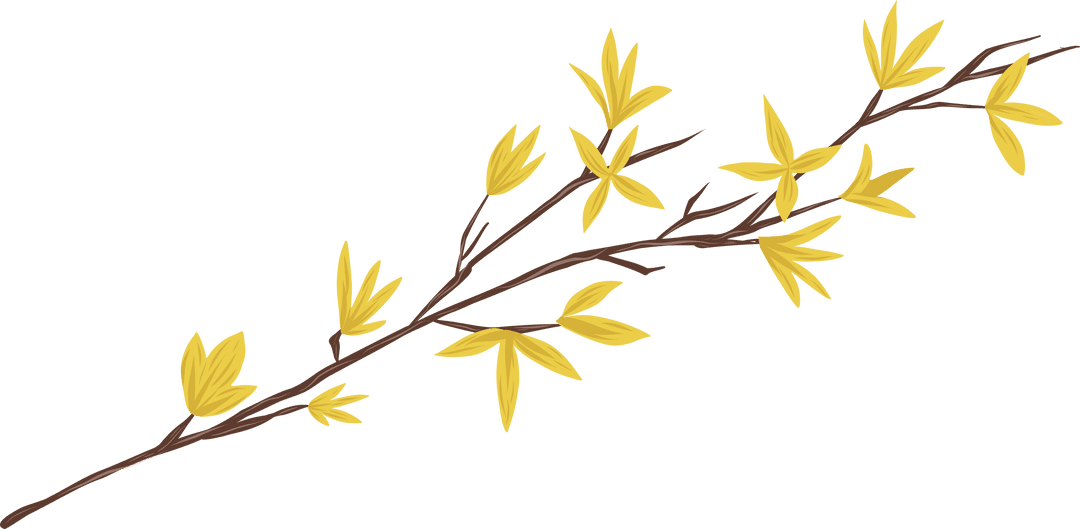 Transparent Illustration of Yellow Flowers on Branch Vector