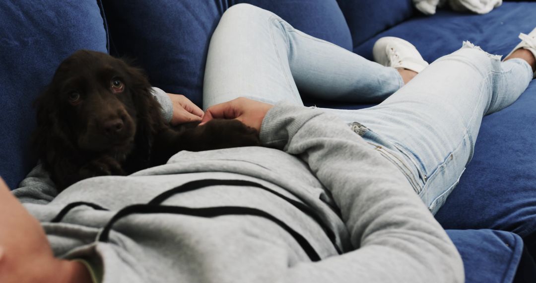 Relaxing at Home with a Small Brown Puppy on Sofa