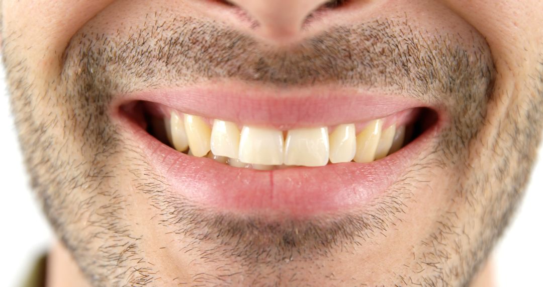 Close-Up of Smiling Man with Beard Showing Teeth - Free Images, Stock Photos and Pictures on Pikwizard.com