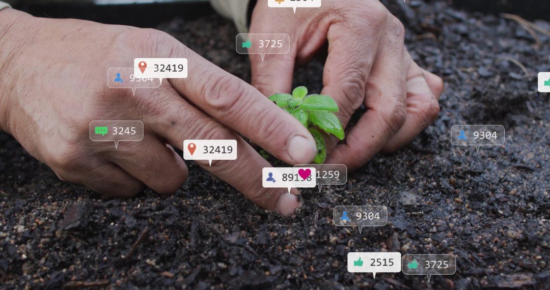 Digital Native: Planting Seedling Connectivity and Growth