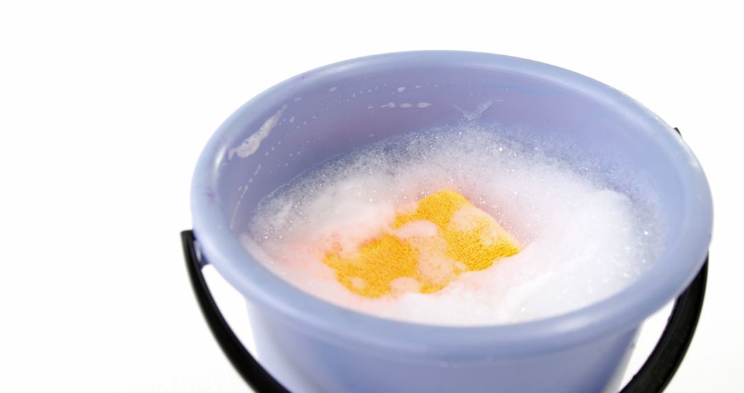 Soapy Water and Sponge in Purple Bucket on White Background - Free Images, Stock Photos and Pictures on Pikwizard.com