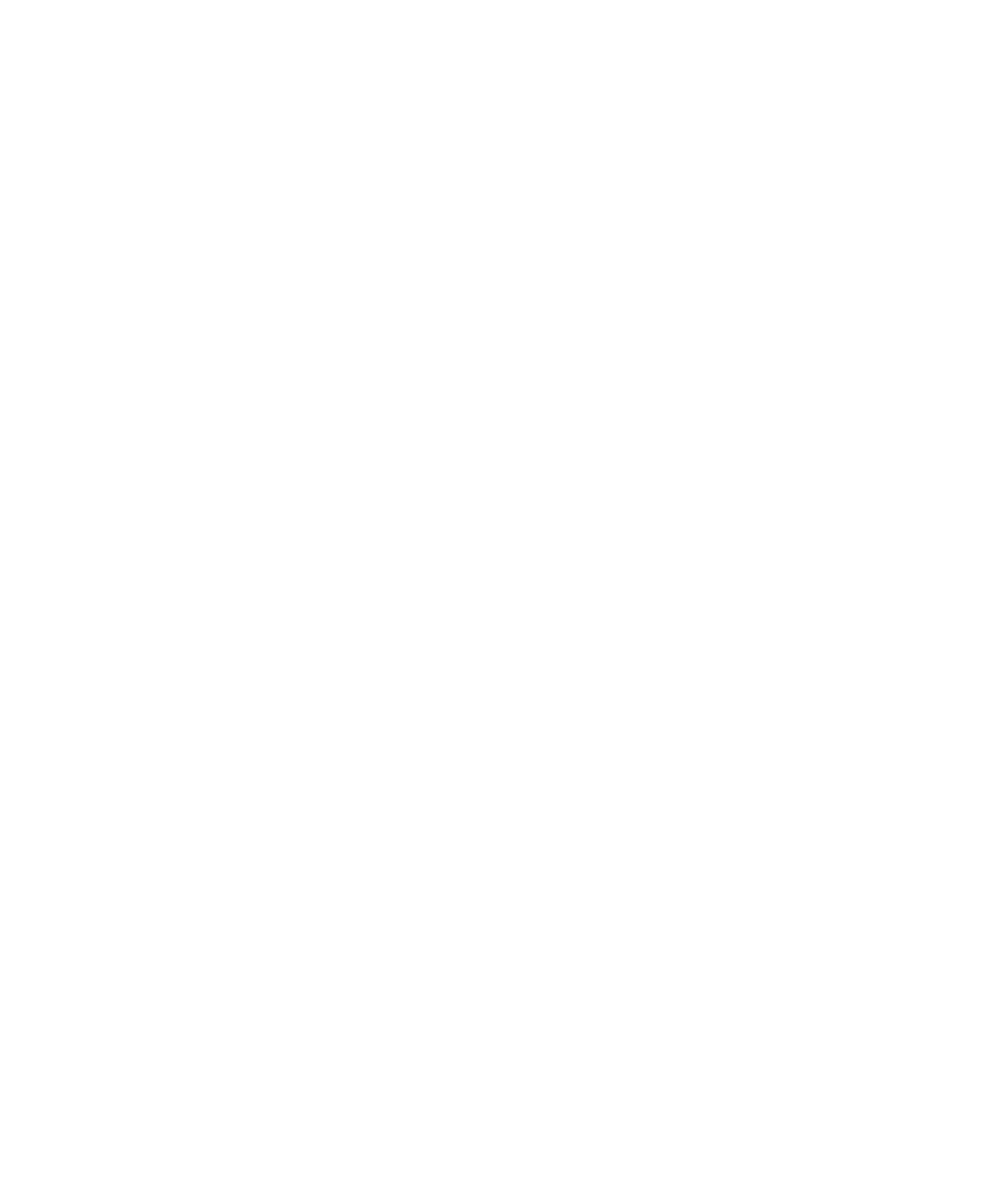 Judo Fighter Silhouette Kicking Transparent Background Vector - Download Free Stock Images Pikwizard.com