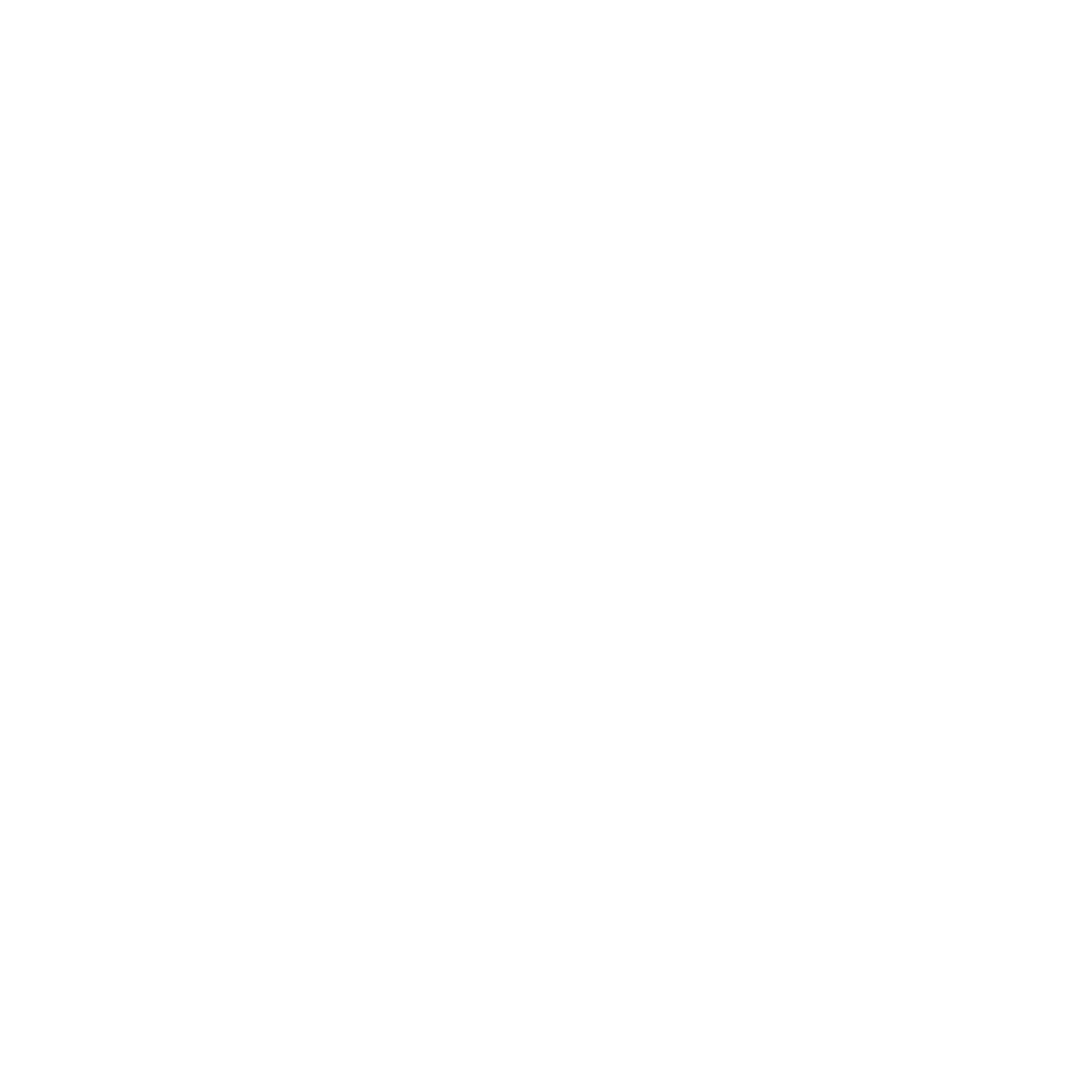 Silhouette of Businesswoman Holding File in Transparent Effect