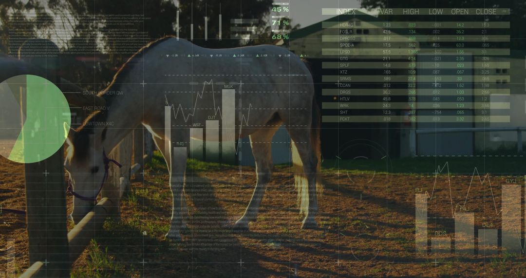 Equine and Finance: Horse in Paddock with Stock Chart Overlay