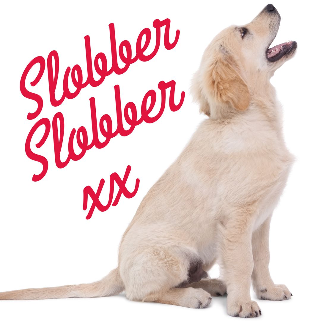 Playful Golden Retriever Expressing Love and Affection