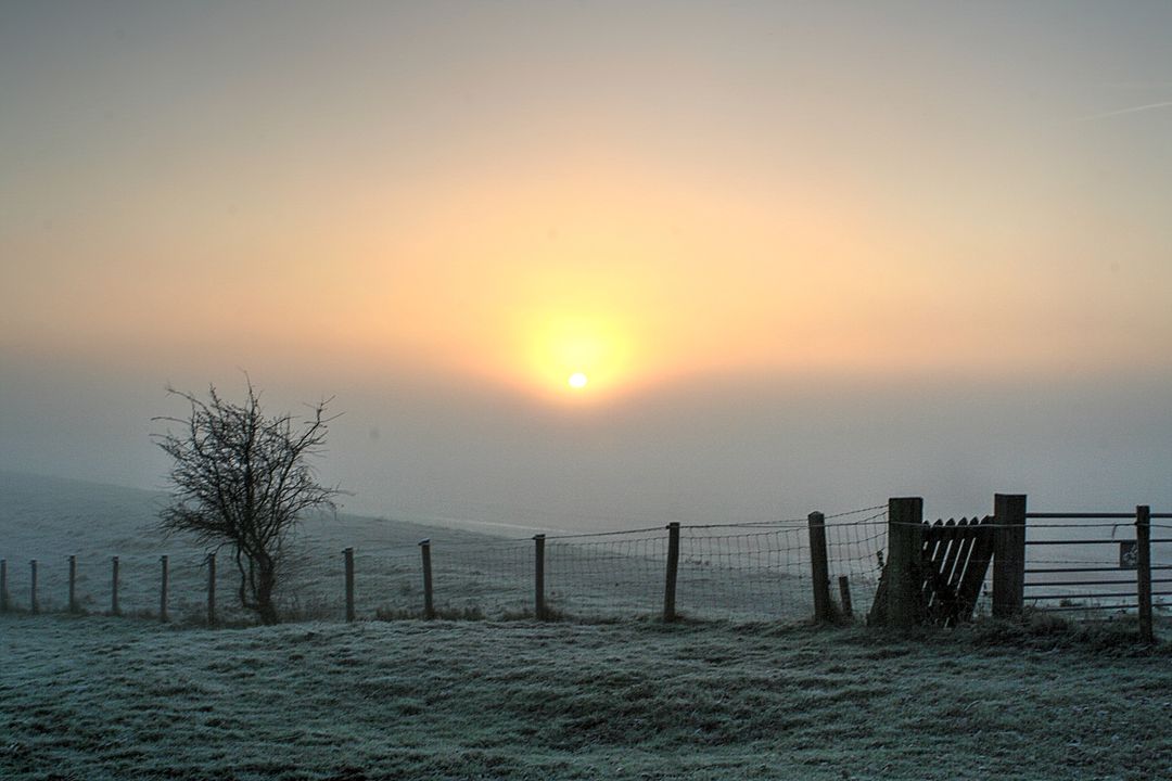 Frosty Sunrise Over a Tranquil Pasture With Fencing - Free Images, Stock Photos and Pictures on Pikwizard.com