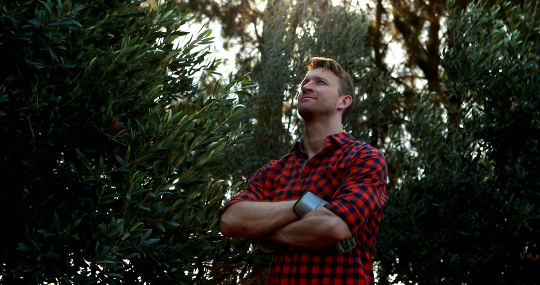 Confident Male Farmer Standing in Olive Grove and Looking Upwards - Free Images, Stock Photos and Pictures on Pikwizard.com