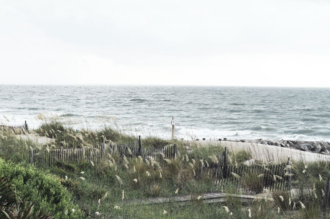 Calm Ocean with Grassy Sand Dunes and Overcast Sky - Free Images, Stock Photos and Pictures on Pikwizard.com