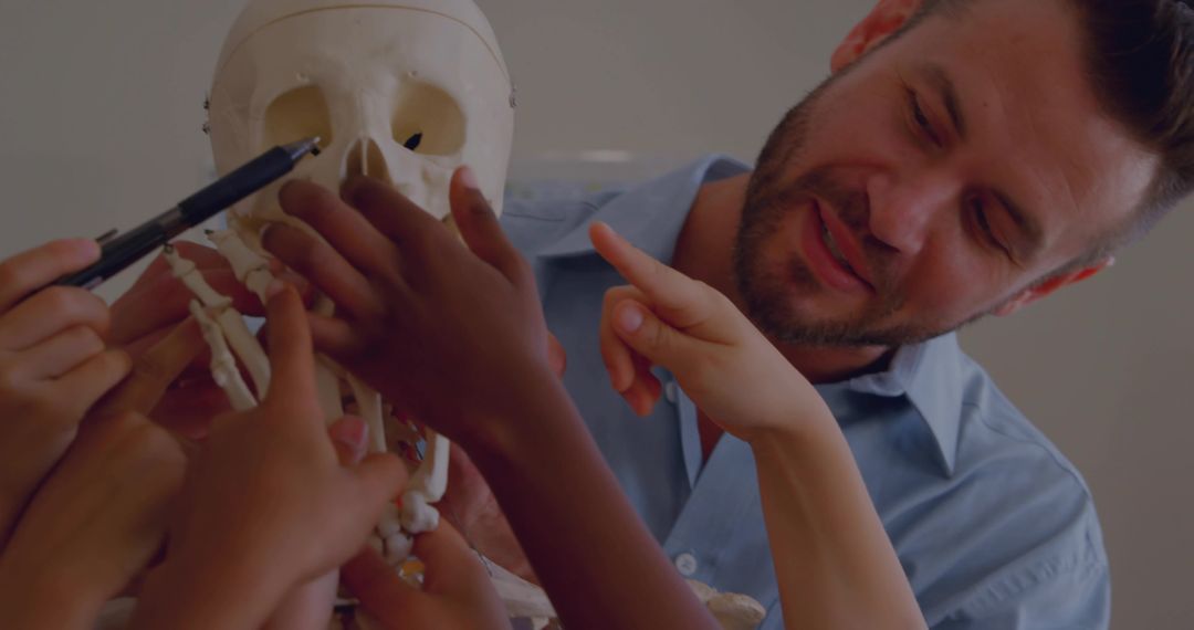 Teacher Demonstrating Skull Model to Curious Students Reaching During Anatomy Lesson