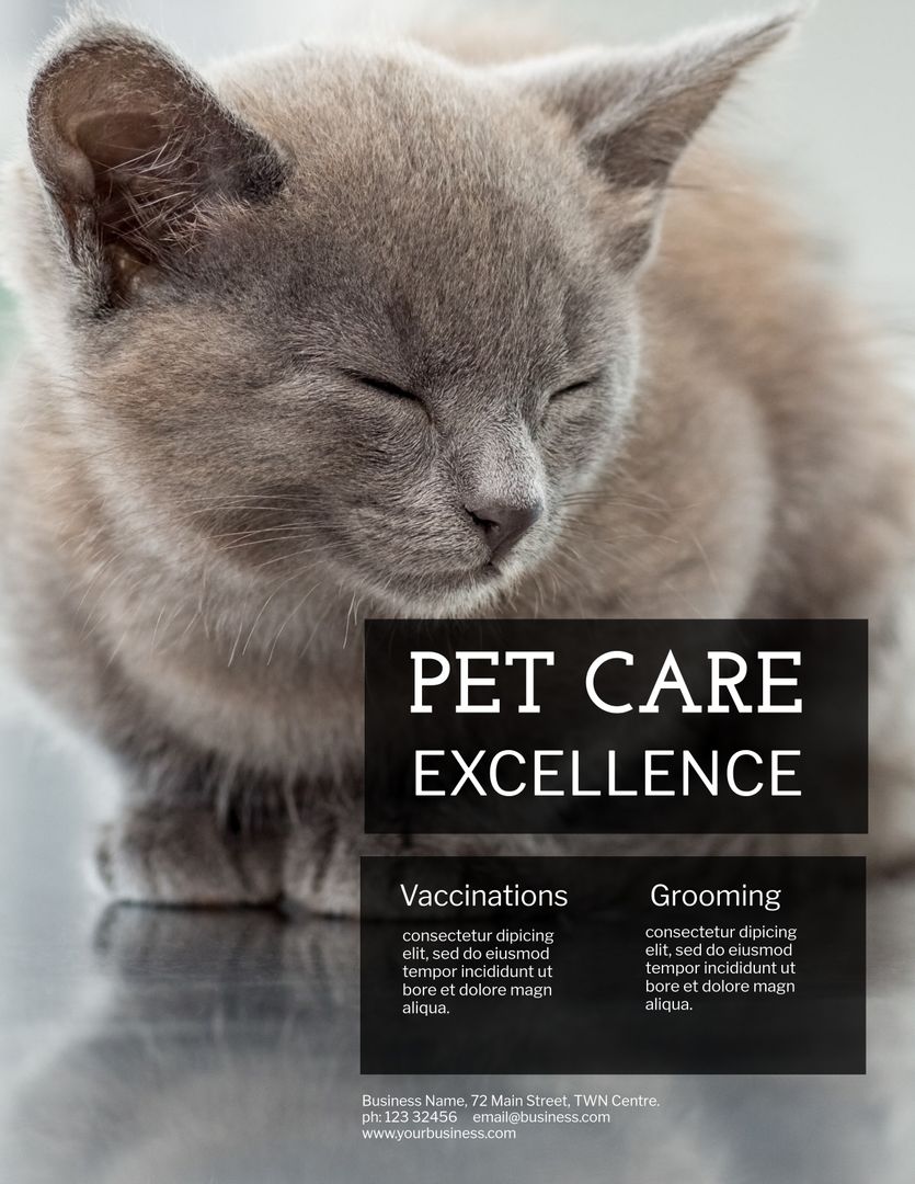 Calm Cat with Eyes Closed Symbolizing Pet Care Excellence