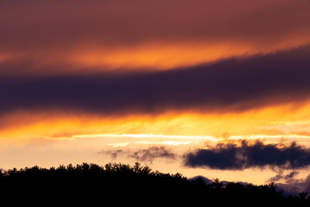 Sunset sky glowing over silhouetted pine forest with dramatic layered clouds, golden hues