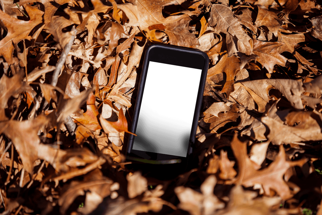Mobile Phone Buried in Autumn Leaves Offering Transparent Reflection