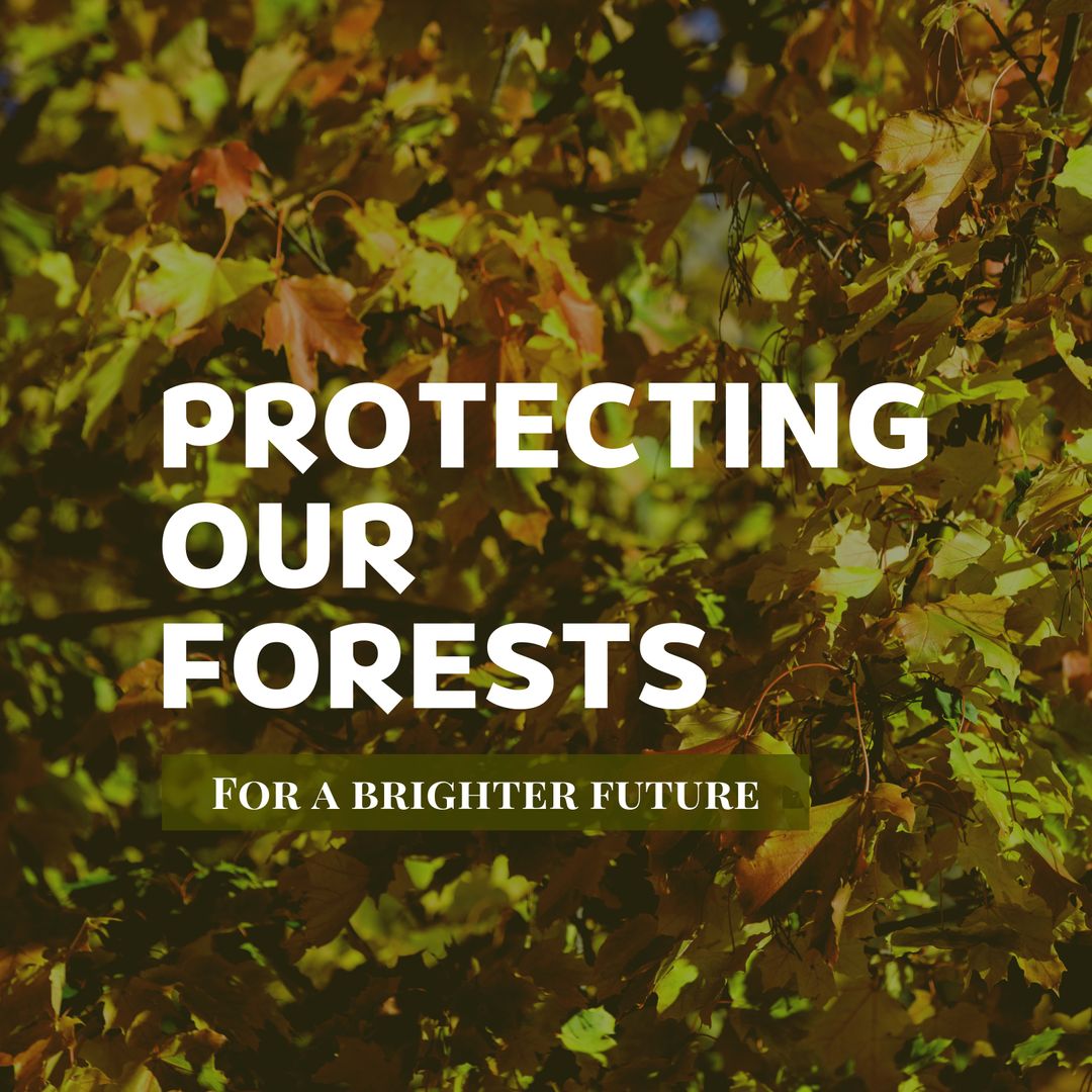 Maple Leaves Highlighting Forest Protection Message