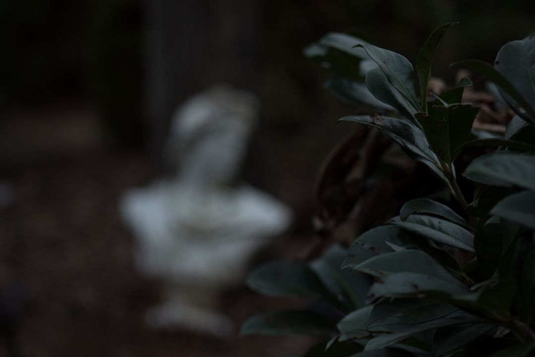 Mysterious Garden with Marble Statue and Shadows - Free Images, Stock Photos and Pictures on Pikwizard.com