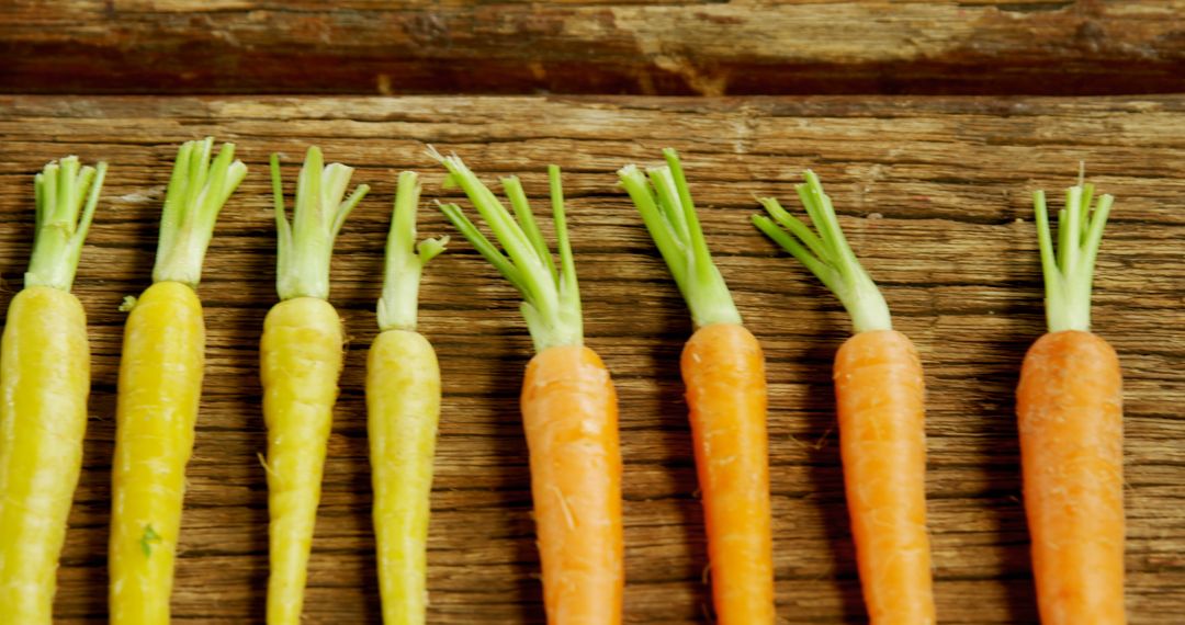 Carrots of varying sizes and colors are neatly arranged in a row on a rustic wooden surface - Free Images, Stock Photos and Pictures on Pikwizard.com