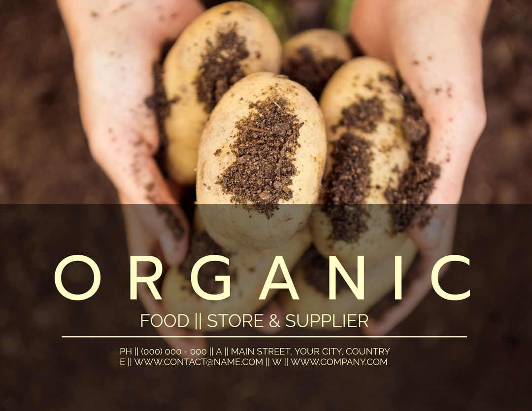 Hands Gently Holding Freshly Harvested Organic Potatoes