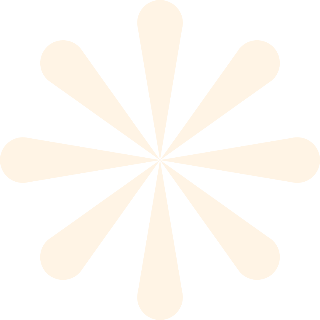 Radial Burst Design with Teardrop Petals on Transparent Background