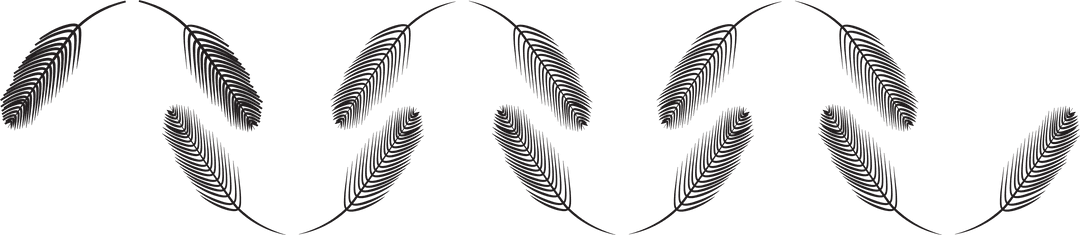 Black Abstract Wave Design on Transparent Background