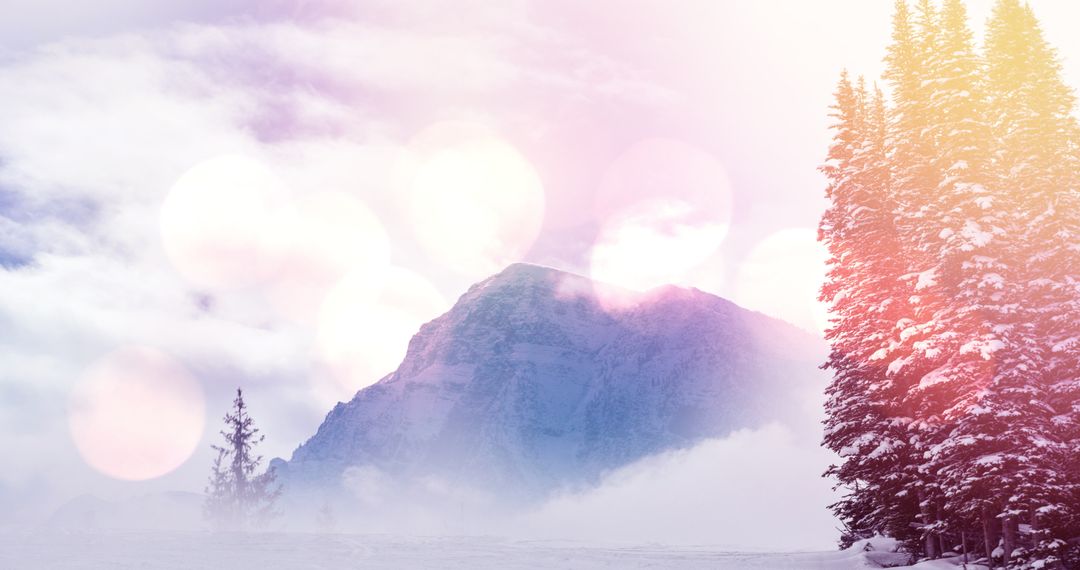 Dreamy Winter Landscape with Snowy Mountains and Fir Trees