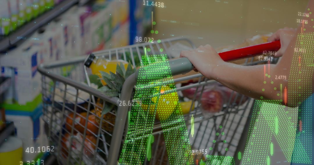 Digital Innovation in Retail: Shopping Cart with Data Overlay