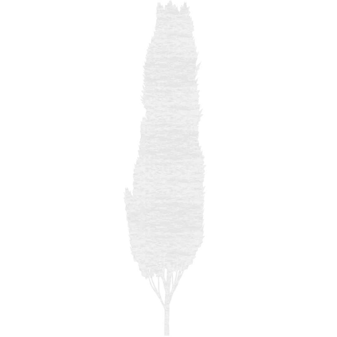 White Paper Tree Illustration on Transparent Background