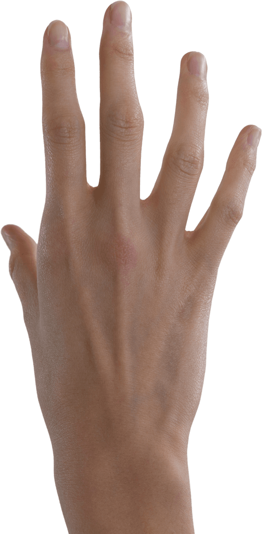 Transparent Gesture of Woman's Hand in Virtual Use