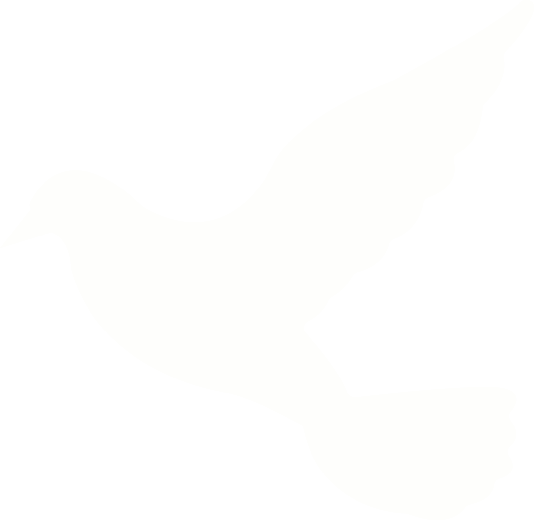White Dove Silhouette on Transparent Background