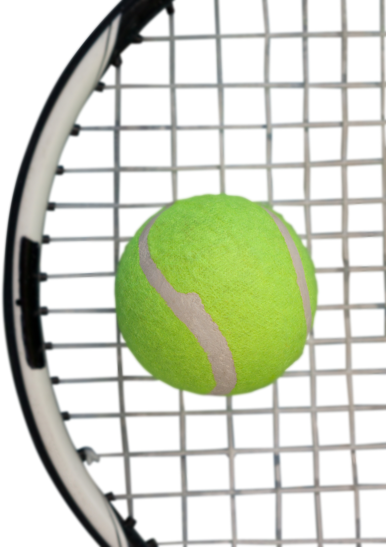 Tennis Ball Resting on Racket Strings, Transparent Background - Download Free Stock Images Pikwizard.com