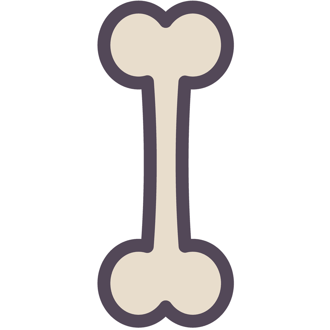 Isolated Dog Treat Bone Digital Illustration on Transparent Background