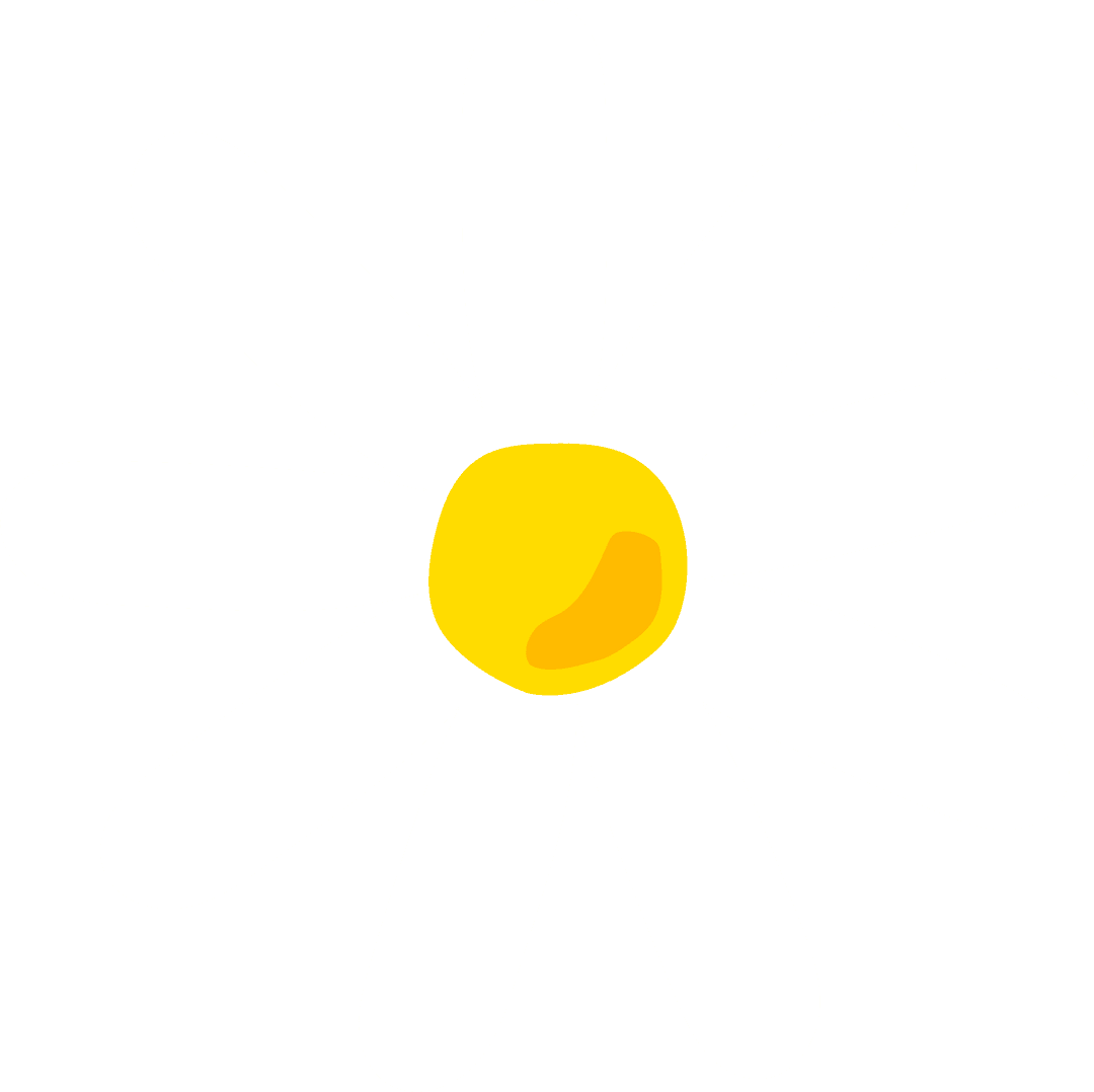 Minimalistic Daisy Flower Illustration on Transparent Background